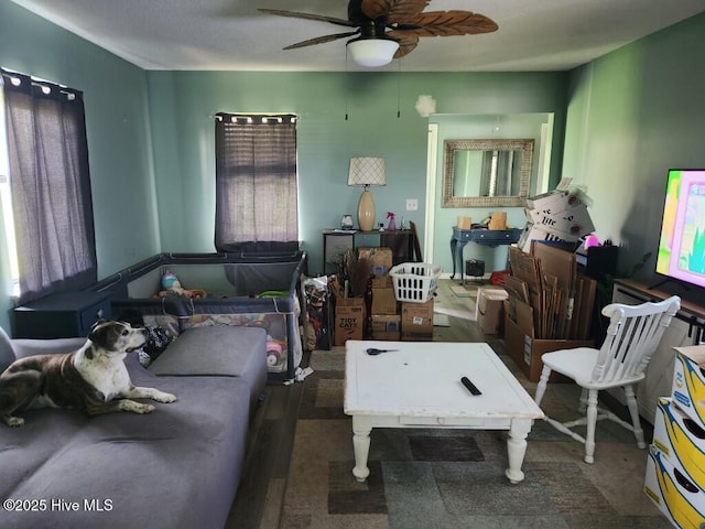 300 Morningside Dr, Vanceboro, NC 28586 - living area featuring a ceiling fan