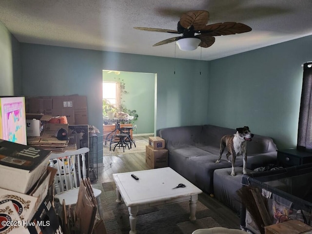 300 Morningside Dr, Vanceboro, NC 28586 - living room with wood finished floors, ceiling fan, and a textured ceiling