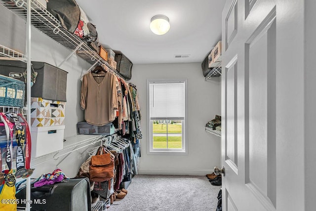 103 Baymeade Ct, Peletier, NC 28584 - spacious closet featuring carpet