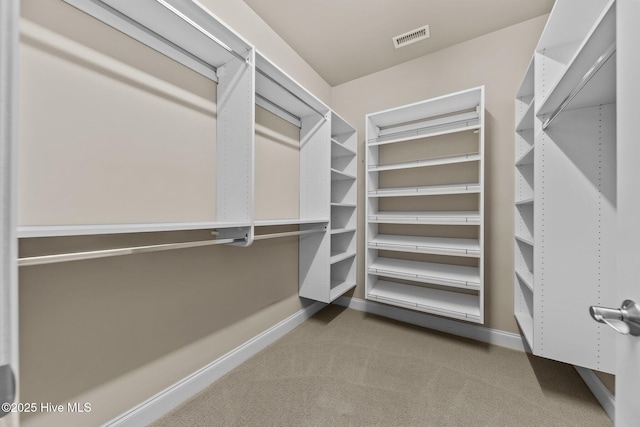 90 Shadow Creek Ct, Pinehurst, NC 28374 - walk in closet with carpet