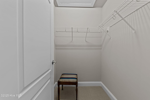 90 Shadow Creek Ct, Pinehurst, NC 28374 - walk in closet with carpet