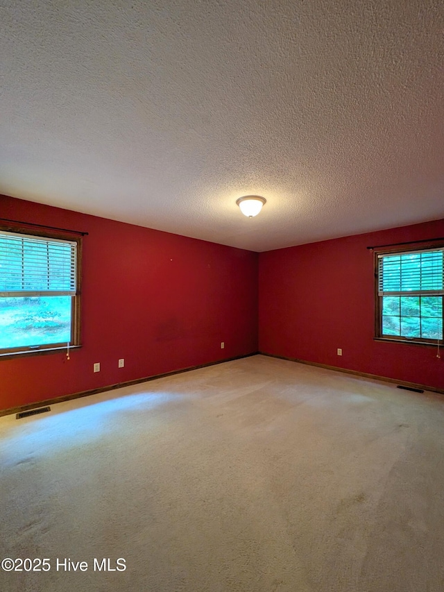 106 Brown Bark Rd, West End, NC 27376 - empty room featuring healthy amount of natural light, a textured ceiling, and carpet floors