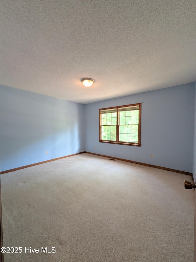 106 Brown Bark Rd, West End, NC 27376 - spare room with light colored carpet and a textured ceiling