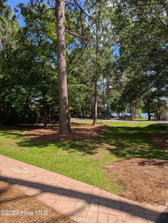 106 Brown Bark Rd, West End, NC 27376 - view of green lawn