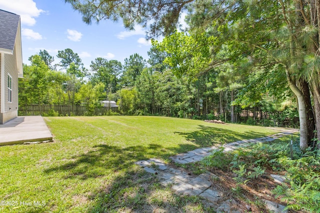 110 Whiteleaf Dr, Jacksonville, NC 28546 - view of yard