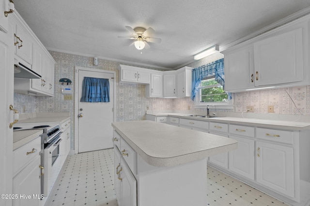 1603 Laurel St, Goldsboro, NC 27530 - kitchen with electric range oven, light floors, exhaust hood, ceiling fan, and wallpapered walls