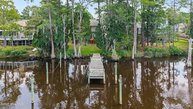 5410 Trade Winds Rd, New Bern, NC 28560 - dock area with a water view and view of scattered trees