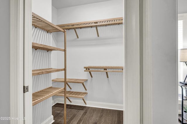 2233 Whiskey Branch Dr, Wilmington, NC 28409 - walk in closet with wood finished floors