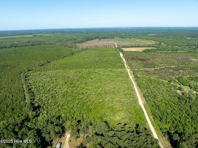 Tbd Standridge Place, Hamlet, NC 28345