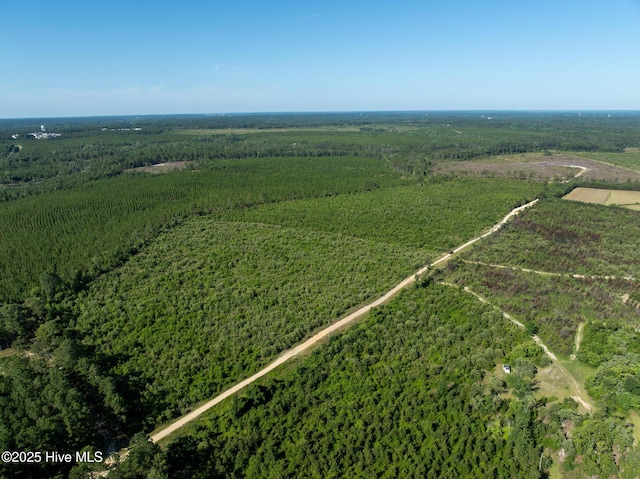 Tbd Standridge Place, Hamlet, NC 28345