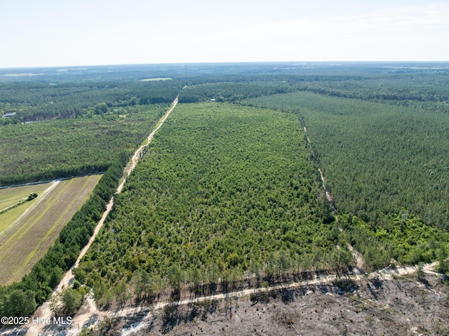 Tbd Standridge Place, Hamlet, NC 28345