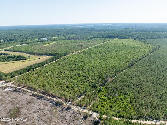 Tbd Standridge Place, Hamlet, NC 28345