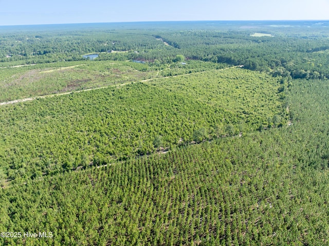 Tbd Standridge Place, Hamlet, NC 28345