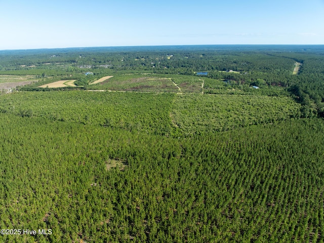 Tbd Standridge Place, Hamlet, NC 28345