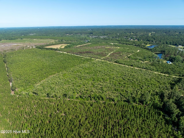 Tbd Standridge Place, Hamlet, NC 28345