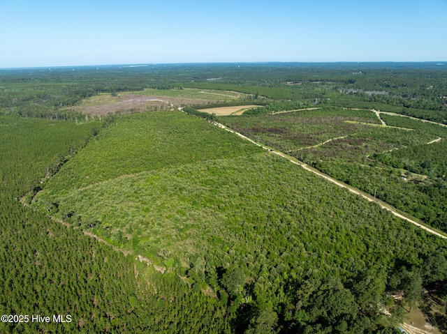 Tbd Standridge Place, Hamlet, NC 28345