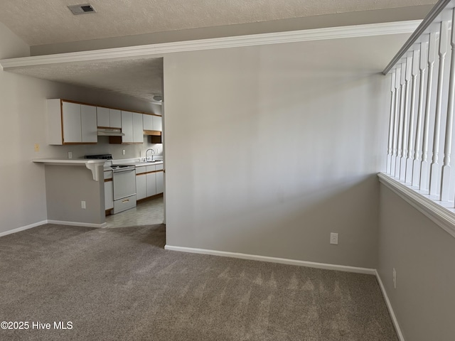 4405 Jasmine Cove Way, Wilmington, NC 28412 - unfurnished living room with carpet flooring and a textured ceiling