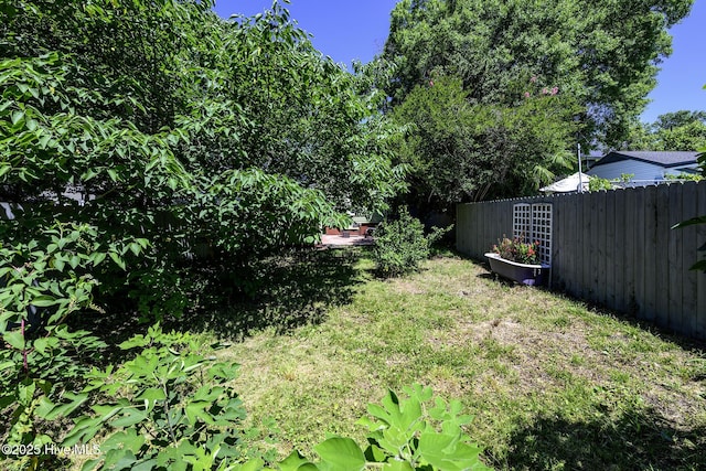 507 Blades Ave, New Bern, NC 28560 - view of yard