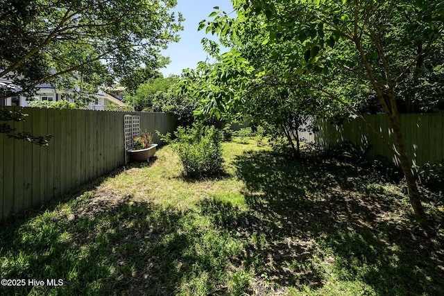507 Blades Ave, New Bern, NC 28560 - view of fenced backyard