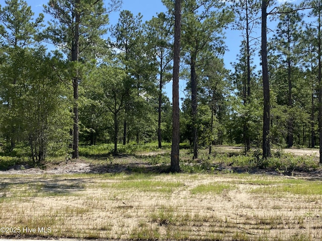 8742 Compass Pointe W Wynd Wynd NE Unit 8, Leland, NC 28451