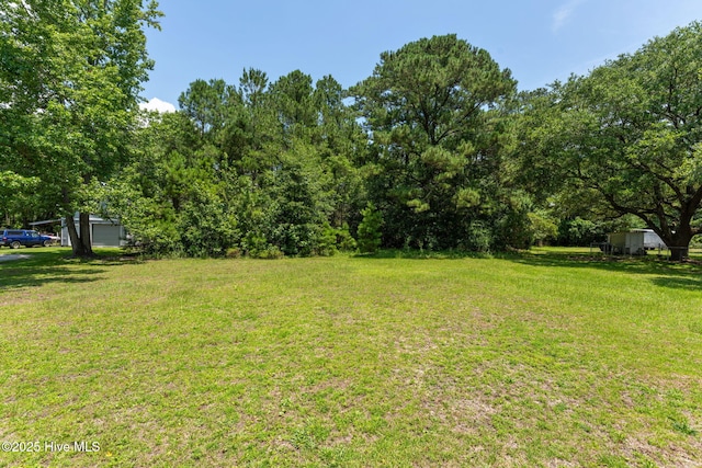 1901 Hess St, Wilmington, NC 28411 - view of grassy yard