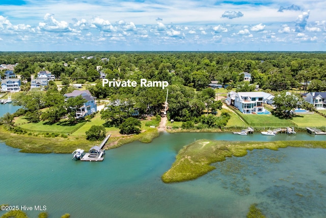 1901 Hess St, Wilmington, NC 28411 - bird's eye view of a forest and a large body of water