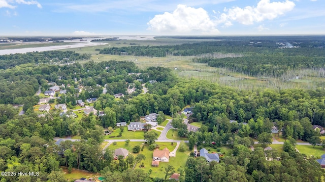 820 Jackeys Creek Ln SE, Leland, NC 28451 - aerial view of a forest