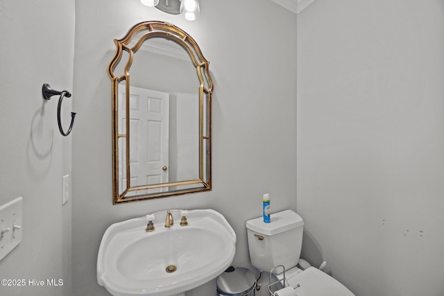 3902 Kipling Ct, Greenville, NC 27834 - bathroom featuring a sink and crown molding