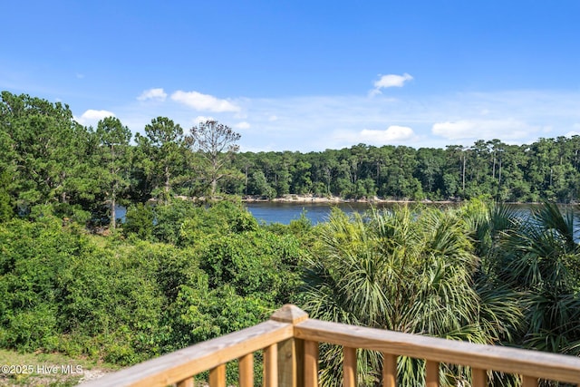 9406 Voyagers Way, Wilmington, NC 28412 - water view featuring a heavily wooded area