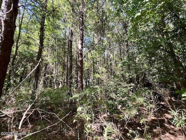 0 Willeyton Rd, Gates, NC 27937