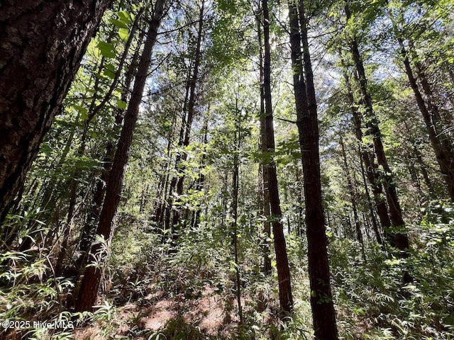 0 Willeyton Rd, Gates, NC 27937