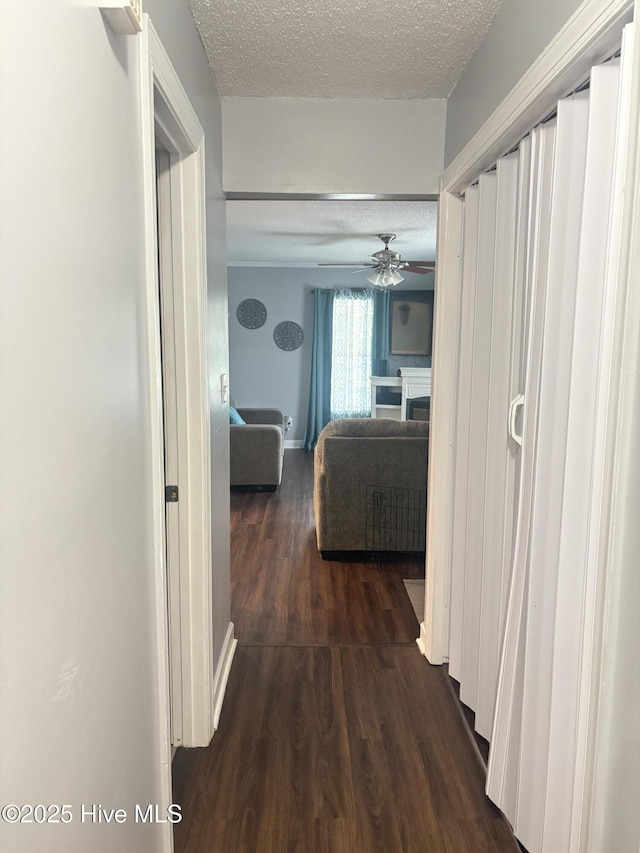 103 Jay Trl, Murfreesboro, NC 27855 - corridor with a textured ceiling and dark wood-style floors