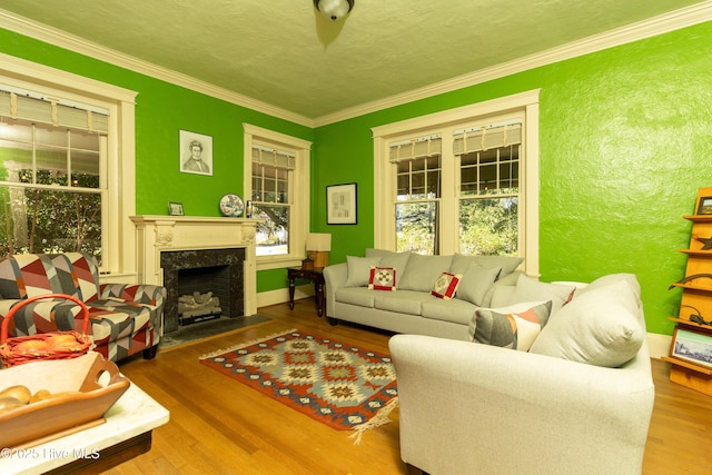 119 S Main St, Colerain, NC 27924 - living area featuring wood finished floors, a fireplace, and crown molding