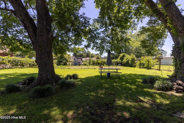 119 S Main St, Colerain, NC 27924 - view of yard