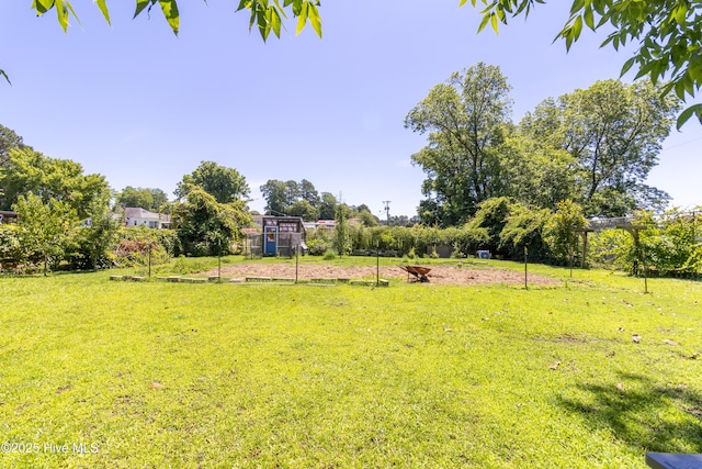 119 S Main St, Colerain, NC 27924 - view of green lawn