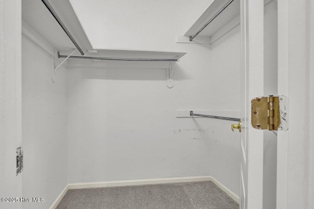 108 Sound View Dr, Hampstead, NC 28443 - walk in closet featuring carpet flooring