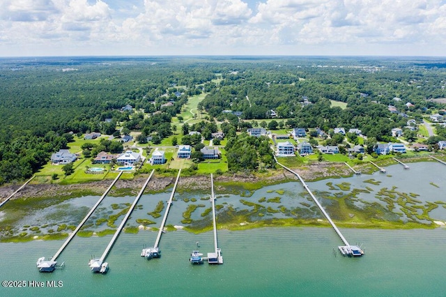 108 Sound View Dr, Hampstead, NC 28443 - aerial view of property's location featuring a forest and a large body of water