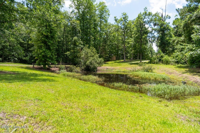 5025 NC Highway 55 E, New Bern, NC 28560 - view of yard
