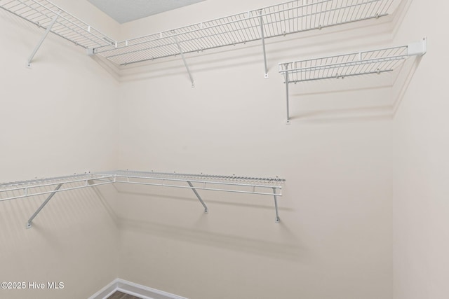 383 Red Fox St NW, Shallotte, NC 28470 - view of walk in closet