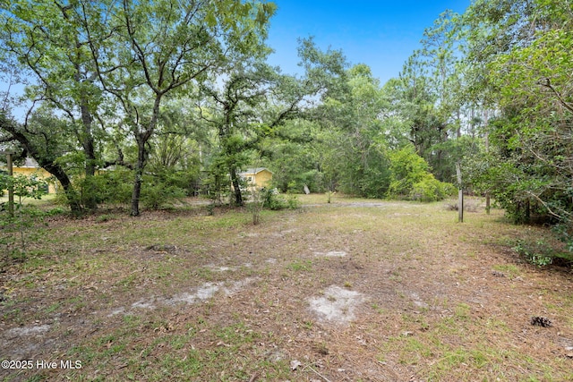 383 Red Fox St NW, Shallotte, NC 28470 - view of yard