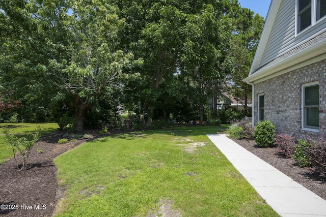 107 Sea Turtle Cv, Sneads Ferry, NC 28460 - view of green lawn