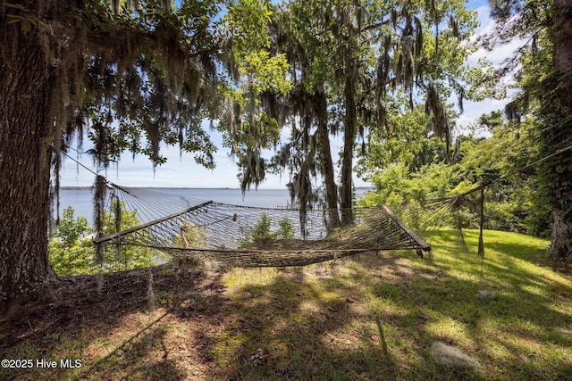 1402 Green Springs Rd, New Bern, NC 28560 - view of green lawn with a water view