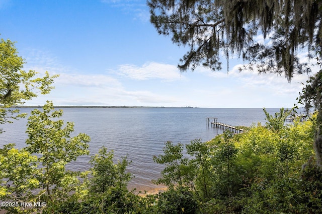 1402 Green Springs Rd, New Bern, NC 28560 - water view