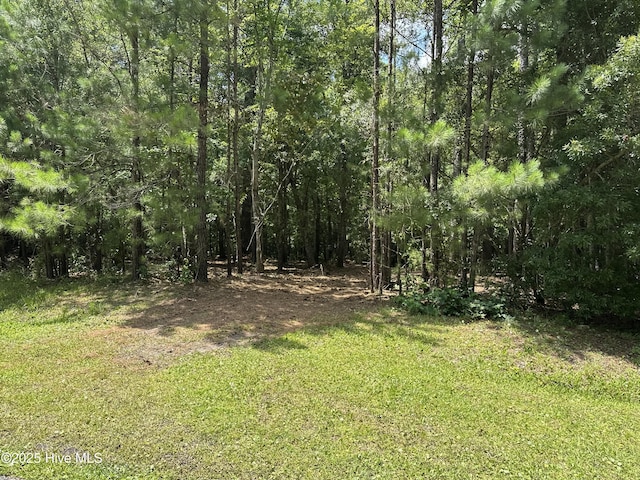 LOT143 Tidal Creek Ct Unit 143, Hampstead, NC 28443