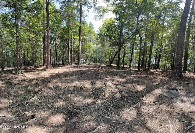 LOT143 Tidal Creek Ct Unit 143, Hampstead, NC 28443