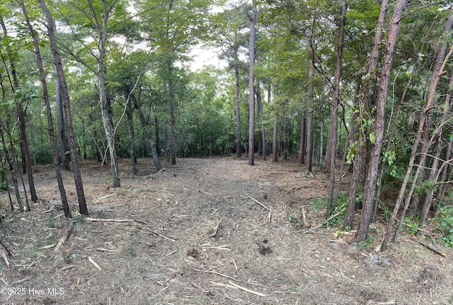 LOT143 Tidal Creek Ct Unit 143, Hampstead, NC 28443