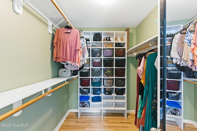 2827 Sapling Cir, Wilmington, NC 28411 - walk in closet with wood finished floors