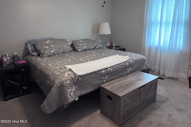 2903 Cedar Creek Rd Apt B, Greenville, NC 27834 - bedroom featuring carpet flooring