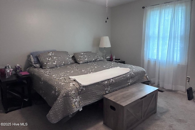 2903 Cedar Creek Rd Apt B, Greenville, NC 27834 - view of carpeted bedroom