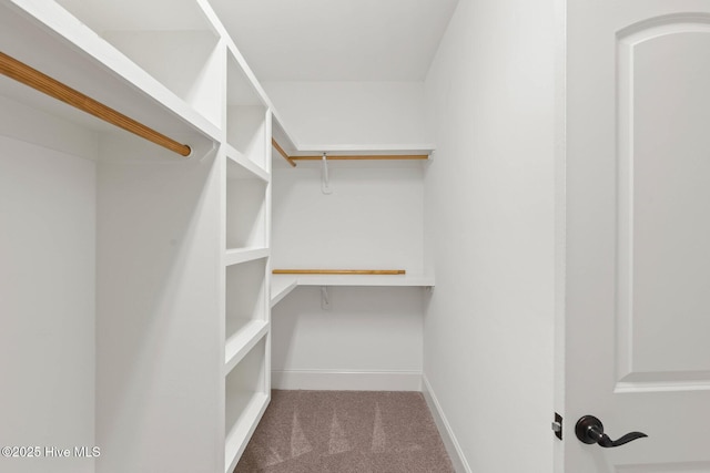 9385 Fallen Pear Ln NE, Leland, NC 28451 - walk in closet with carpet floors